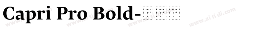 Capri Pro Bold字体转换